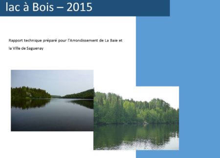 Pages de Portrait du bassin versant du lac à Bois – 2015.pdf