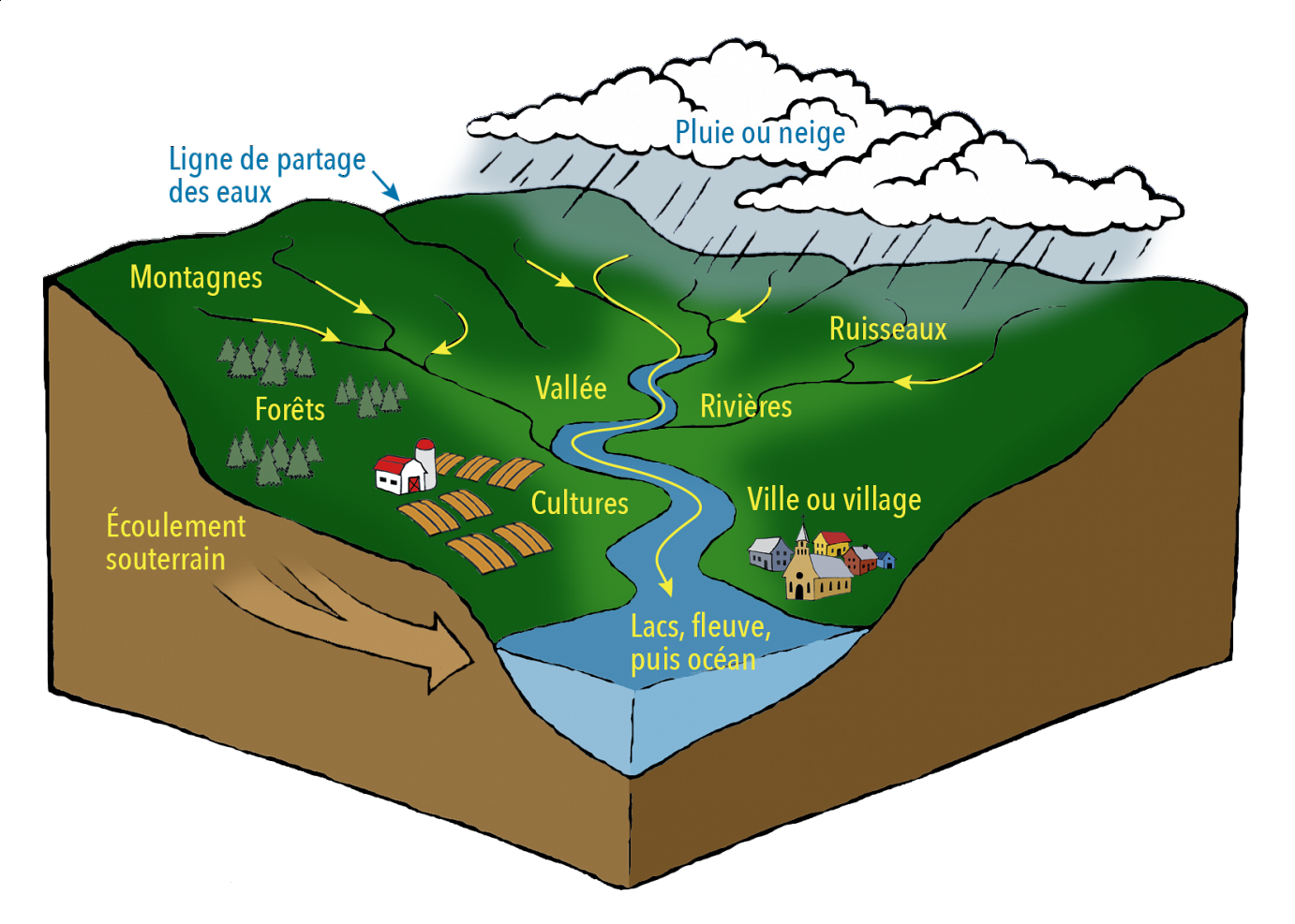 Qu'est-ce qu'un bassin versant ?  Organisme des Bassins Versants du  Nord-Est du Bas-Saint-Laurent