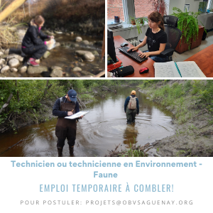 Technicien ou technicienne en Environnement (1)