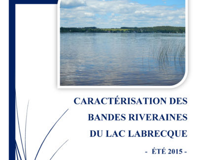 Pages de CaractBRLacLabrecque2015 Final.pdf