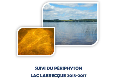 Pages de Rapport_Périphyton_LacLab2015-2017.pdf
