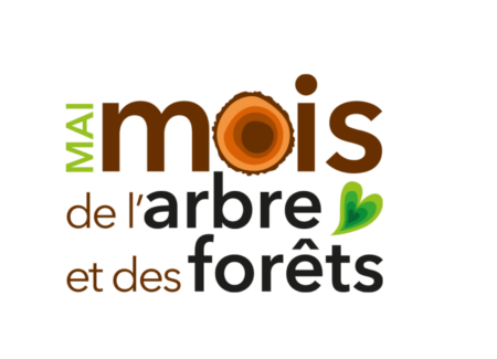 Mois de l'arbre_v_blog