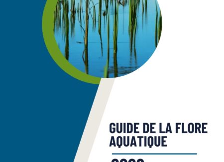 Flore aquatique (1)