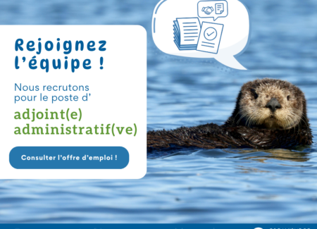 Ofrre emploi adjointe