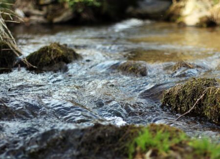 riviere